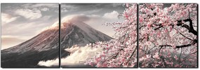 Obraz na plátne - Hora Fuji a čerešňové kvety na jar - panoráma 5266QC (90x30 cm)
