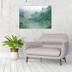 Sklenený obraz - Ranná hmla (70x50 cm)