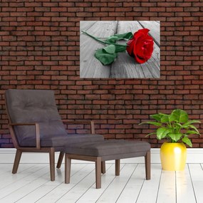 Obraz - Červená ruža so zelenou stonkou (70x50 cm)