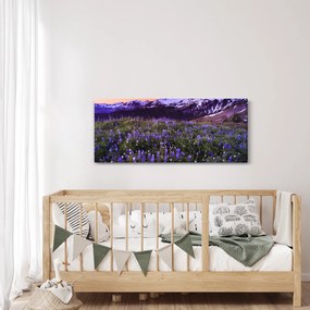 Obraz - Sopka a kvety (120x50 cm)