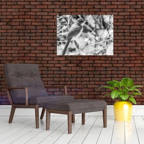 Obraz - Modrý vták v zime (70x50 cm)