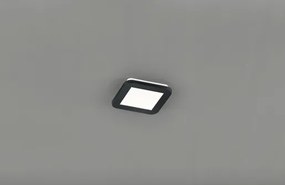 Reality Camillus led stropné osvetlenie čierna re r62931032 RER62931032