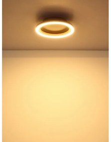 Globo 67356D - LED Stropné svietidlo DAKARI I LED/12W/230V 3000K pr. 20,5 cm