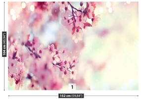 Fototapeta Vliesová Čerešňové kvety 312x219 cm
