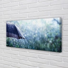 Obraz canvas Umbrella dažďovej kvapky 125x50 cm