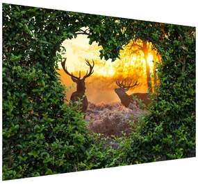Gario Fototapeta Jelene v srdci krovia Materiál: Vliesová, Rozmery: 402 x 240 cm