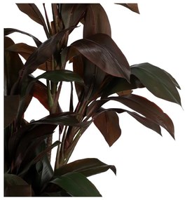 Umelá rastlina (výška 170 cm) – Ixia