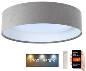 BPS Koncept LED Stropné svietidlo SMART GALAXY LED/36W/230V Wi-Fi Tuya šedá/biela + DO BS0521