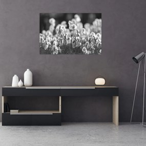 Obraz - Letná lúka (90x60 cm)