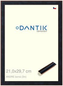DANTIK rám na obraz 21x29,7 | ANDRE černá (Sklo Čiré)