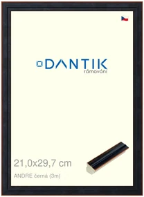 DANTIK rám na obraz 21x29,7 | ANDRE černá (Sklo Čiré)