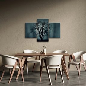 Obraz stromov pri zatmení (90x60 cm)