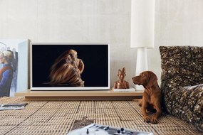 Prírodný hnedý jutový koberec Original jute - 250*350 cm