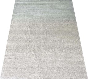 DY Koberec Ladon 05 Rozmer: 80x150 cm