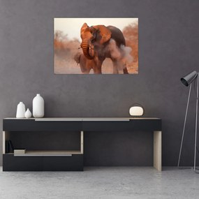Obraz - Veľký slon africký (90x60 cm)