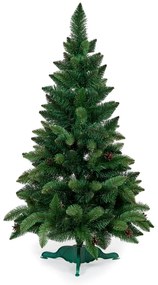 Borovica so šiškami- 120 cm
