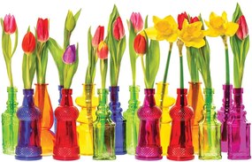 Fototapeta - Tulipány (254x184 cm)