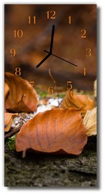 Sklenené hodiny vertikálne Jesenné hnedá príroda 30x60 cm