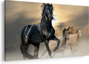 Obraz - Kone (90x60 cm)