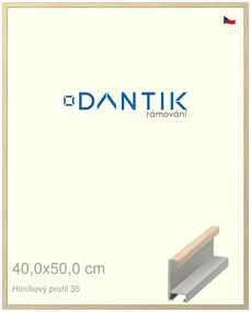 DANTIK rám na obraz 40x50 | ALU Dýha dub raw (Plexi Čiré)
