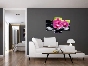 Obraz - Ružové orchidey s palmovým listom (90x60 cm)