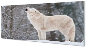 Obraz na akrylátovom skle Vlk v zime lese 120x60 cm