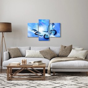 Obraz - Motýľ, symbol nádeje (90x60 cm)