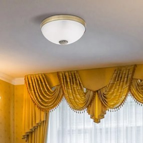 Rabalux 8558 - Stropné svietidlo ORCHIDEA 2xE27/60W/230V