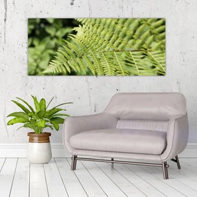 Obraz - Papradinový list (120x50 cm)