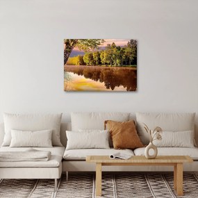 Obraz - Za riekou (70x50 cm)