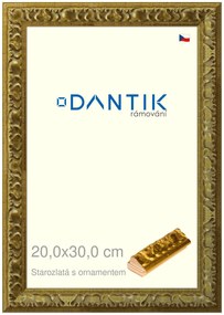 DANTIK rám na obraz 20x30 | Starozlatá s ornamentem (Sklo Čiré)