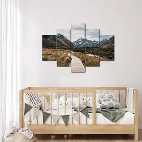 Obraz - Chodník v údolí hory Mt. Cook (150x105 cm)