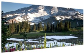 Obraz - Mount Rainier (120x50 cm)
