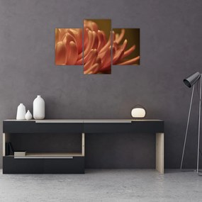 Obraz detailu kvety (90x60 cm)