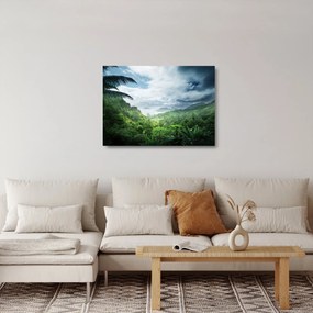 Sklenený obraz - Seychelská jungle (70x50 cm)