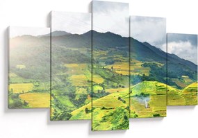 Obraz plantáže (150x105 cm)