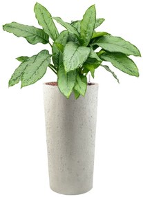 Grigio vase tall M Antique white concrete 36x68 cm