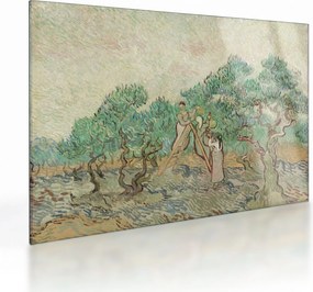 Sklenený obraz - Vincent van Gogh, The Olive Orchard, reprodukcia (70x50 cm)