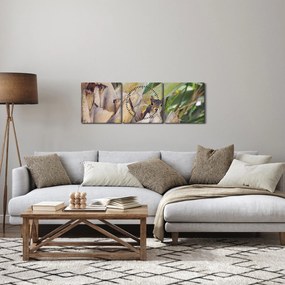Obraz veveričky na strome (s hodinami) (90x30 cm)