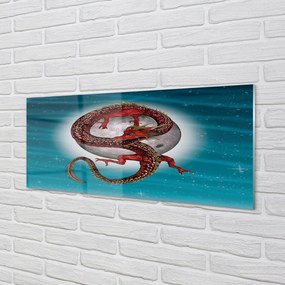 Obraz plexi Japonský mesiac neba drak 120x60 cm