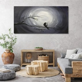 Obraz canvas Abstrakcia Nočné zvieracie vták