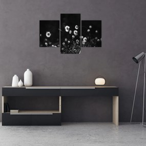 Obraz - Lúka s cottongrass N⁰1 (90x60 cm)