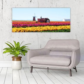Obraz tulipánové farmy (120x50 cm)