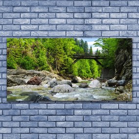 Obraz plexi Drevený most v lese 120x60 cm