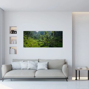 Obraz ryžových terás Tegalalang, Bali (120x50 cm)