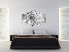 Obraz - Kvetina v zime (150x105 cm)