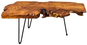 Drevený konferenčný stolík Wild 40 x 100 cm »