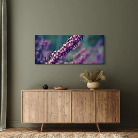 Obraz levandule (120x50 cm)