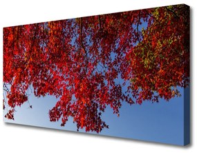 Obraz Canvas Strom listy vetvy príroda 140x70 cm
