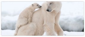 Obraz - Ľadové medvede (120x50 cm)